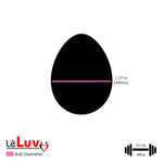 LeLuv Eyro Stainless Steel Anal Hook with Rope Ring - Choose 25-70mm Ball or Egg Fitting