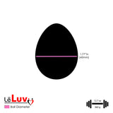 LeLuv Eyro Stainless Steel Anal Hook with Rope Ring - Choose 25mm-70mm Ball or Egg Fitting