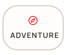 Card icon