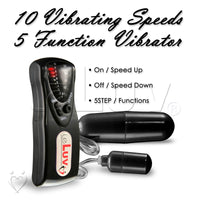 Bullet Vibrator Double Zone Twin Egg Multispeed
