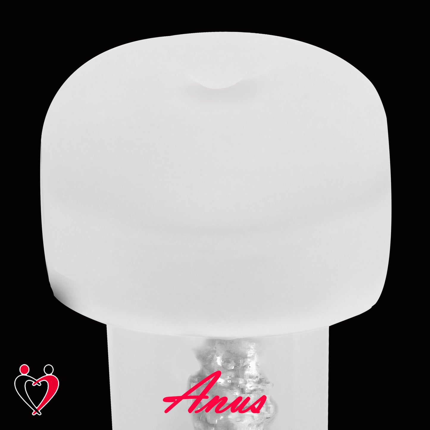 LeLuv Magic Sleeve™ Penis Pump Accessory 6.7 inch length Masturbator Insert for 1.5 to 2.5 Inch Diameter Pump Cylinders