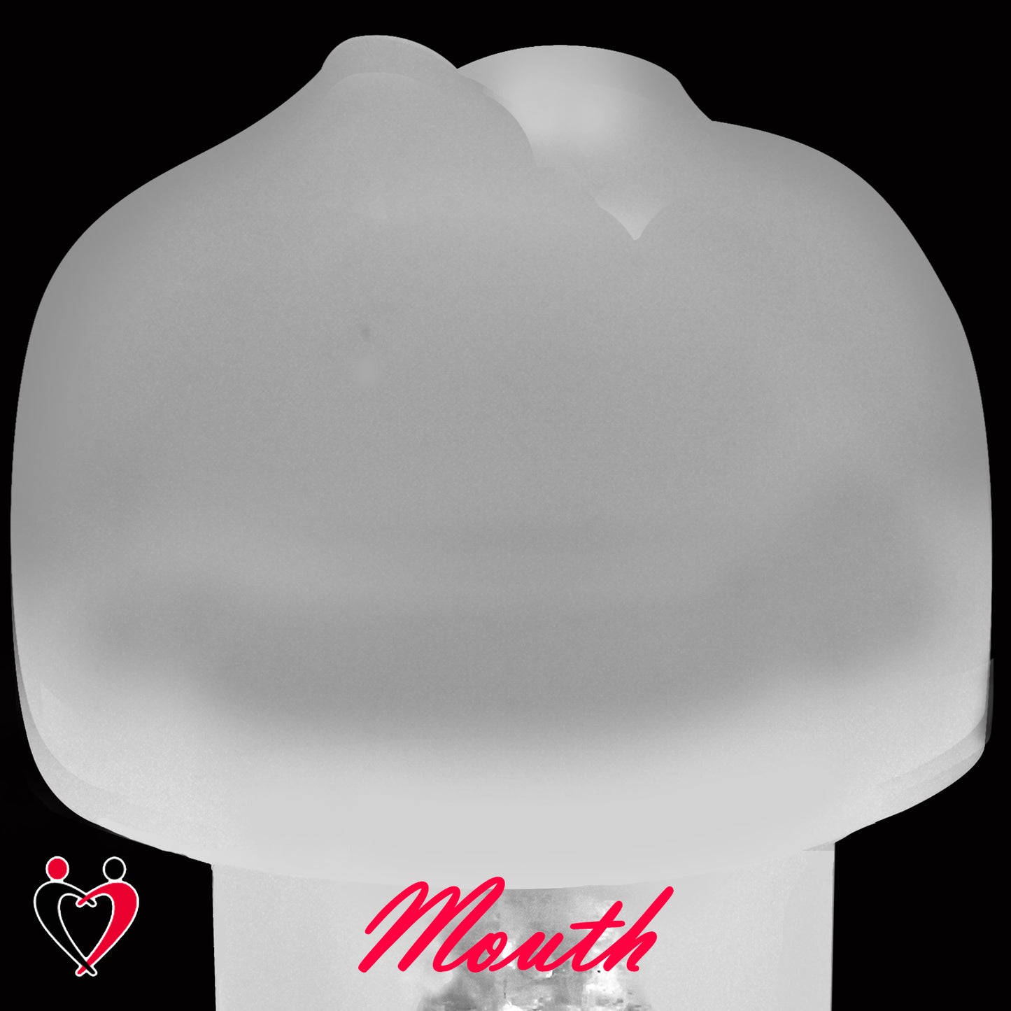 LeLuv Magic Sleeve™ Penis Pump Accessory 6.7 inch length Masturbator Insert for 1.5 to 2.5 Inch Diameter Pump Cylinders