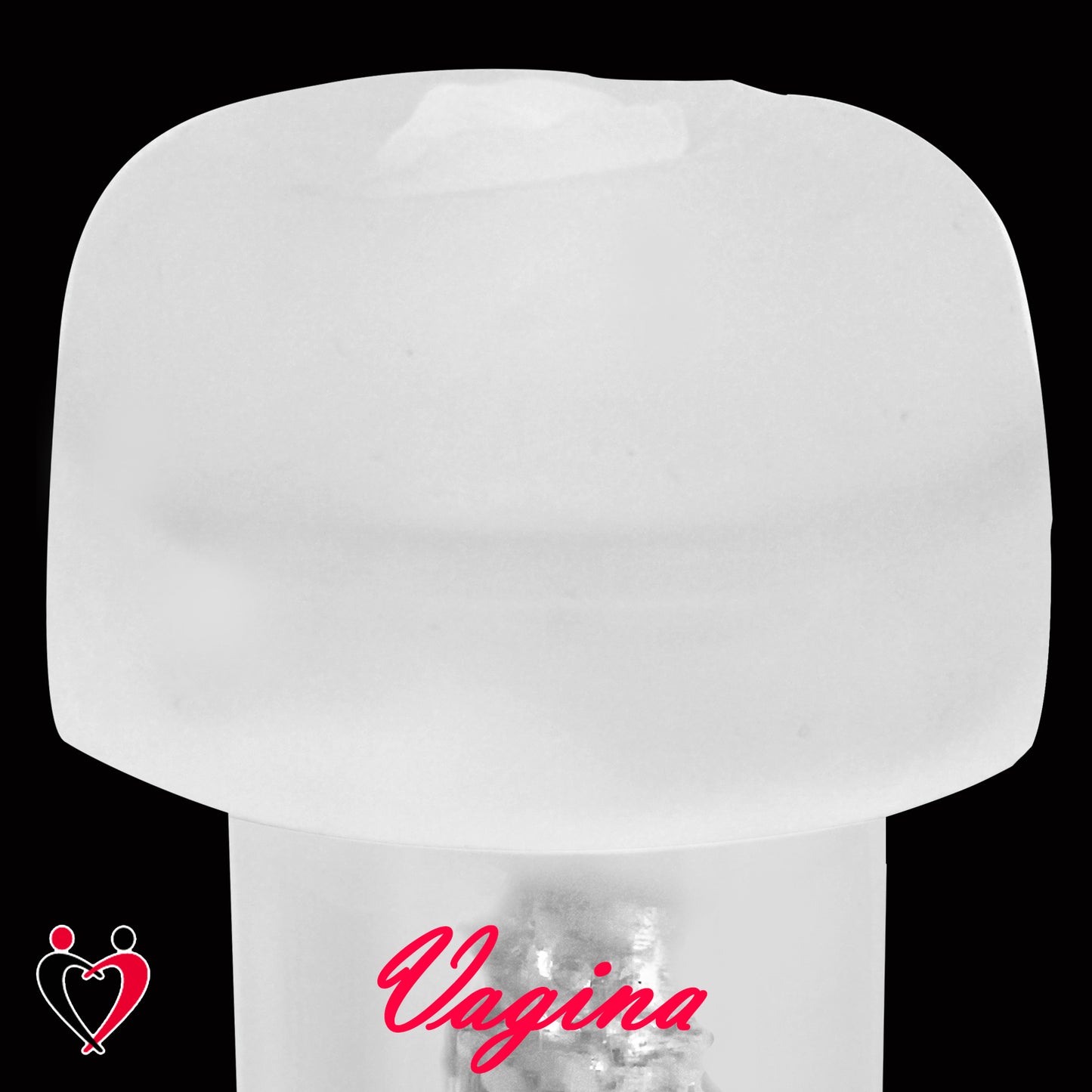 LeLuv Magic Sleeve™ Penis Pump Accessory 6.7 inch length Masturbator Insert for 1.5 to 2.5 Inch Diameter Pump Cylinders