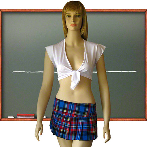 Roleplay Teacher Pet School Girl Uniform Halloween Costume Set